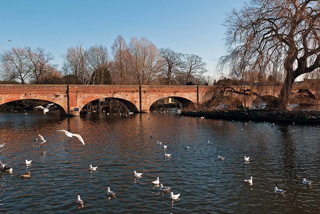 Meandering Along the Emerald Banks of Avon: A Romantic Odyssey in Stratford-upon-Avon